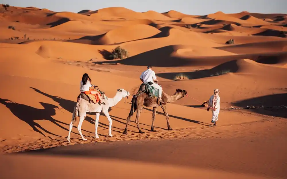 Paseo en camello en las dunas de Erg Chebbi durante la excursión de 3 días desde Marrakech a Fez por el desierto.