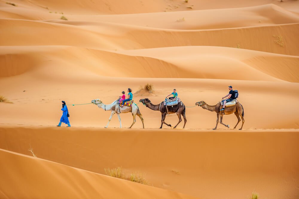 Excursion dans le désert du Maroc avec vue sur les dunes et les paysages impressionnants.