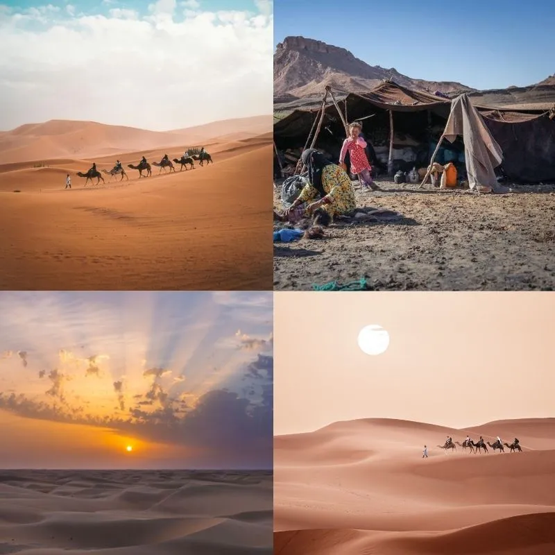 A 3-night camel trek in Morocco showing a Berber guide leading camels through the vast Sahara dunes.