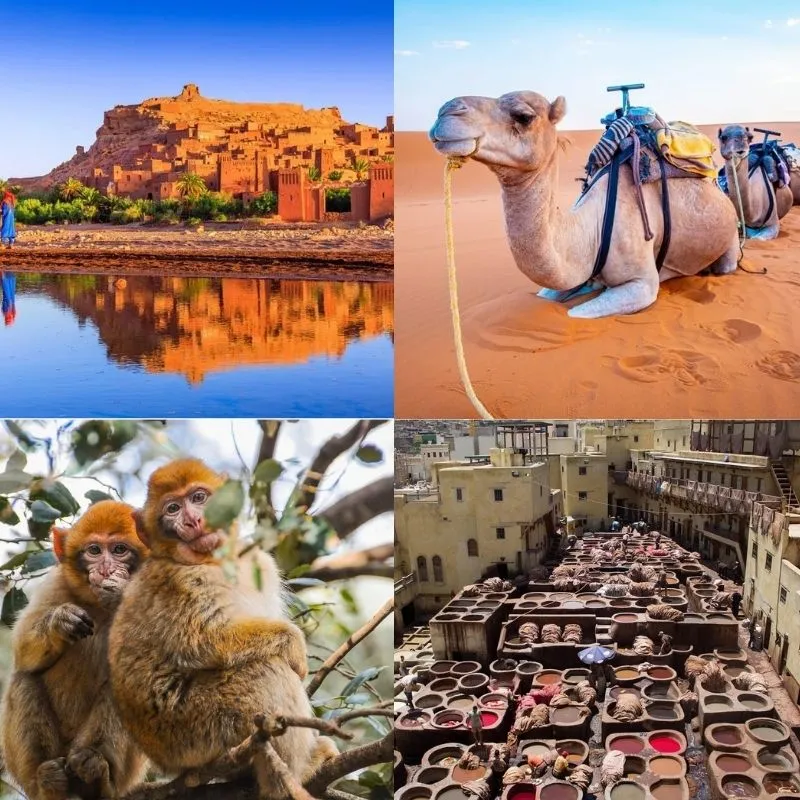 6 Days Marrakech to Fes Tour