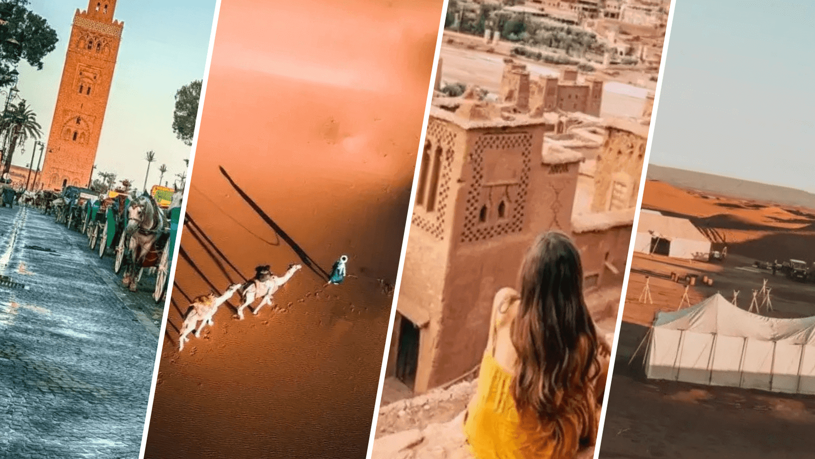 Camel caravan in the golden dunes of the Moroccan Sahara during a Marrakech desert tour