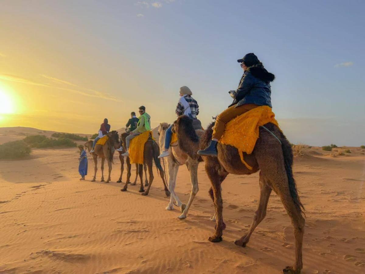 A group of travelers enjoying an overnight camel trekking adventure in Merzouga, with camels walking across the golden Sahara Desert dunes under a stunning sunset