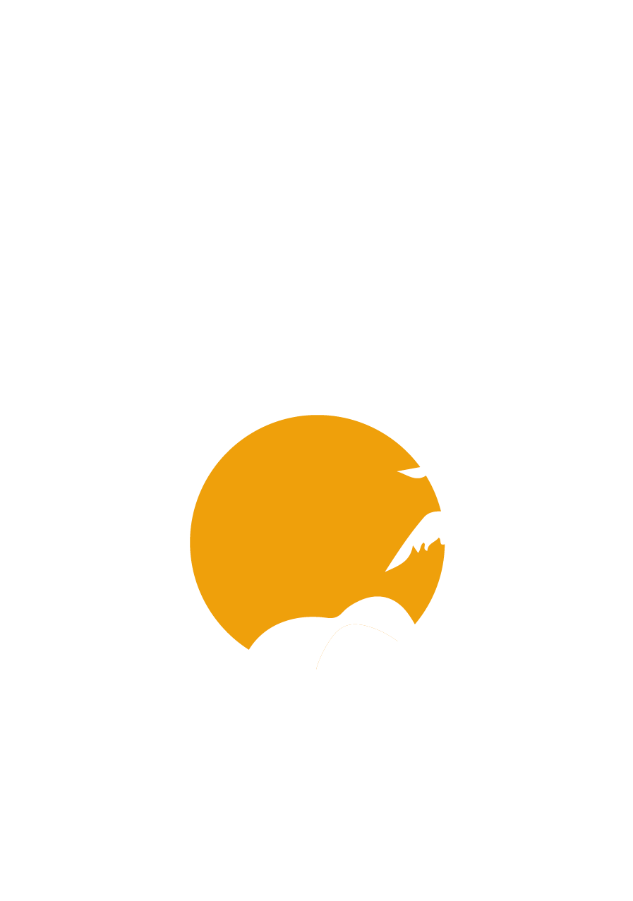 Merzouga hotel les roches